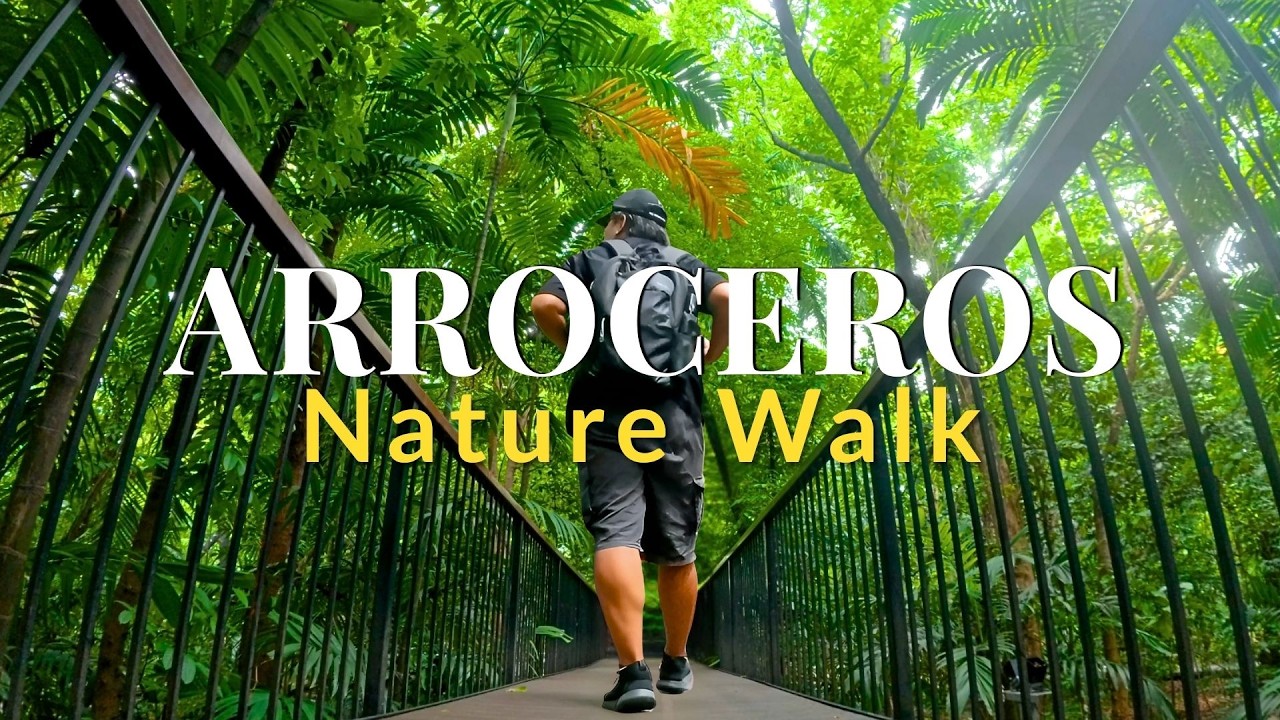 Arroceros Forest Park: Hidden Nature Sanctuary in Manila | Nature Walking Tour 4K