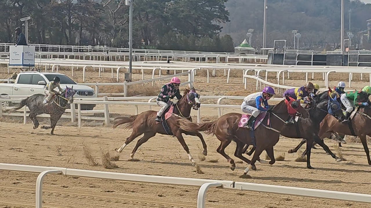 스톰크라운 주행심사. 야성적 매력 아니고 그냥 야생마