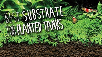 Fluval Stratum | Substrate for Planted Aquariums