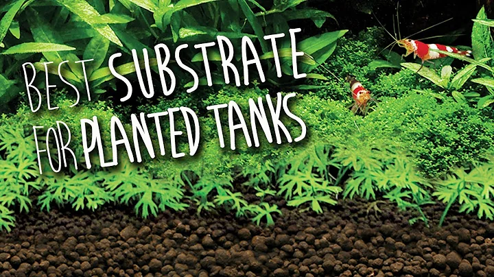 Fluval Stratum | Substrate for Planted Aquariums