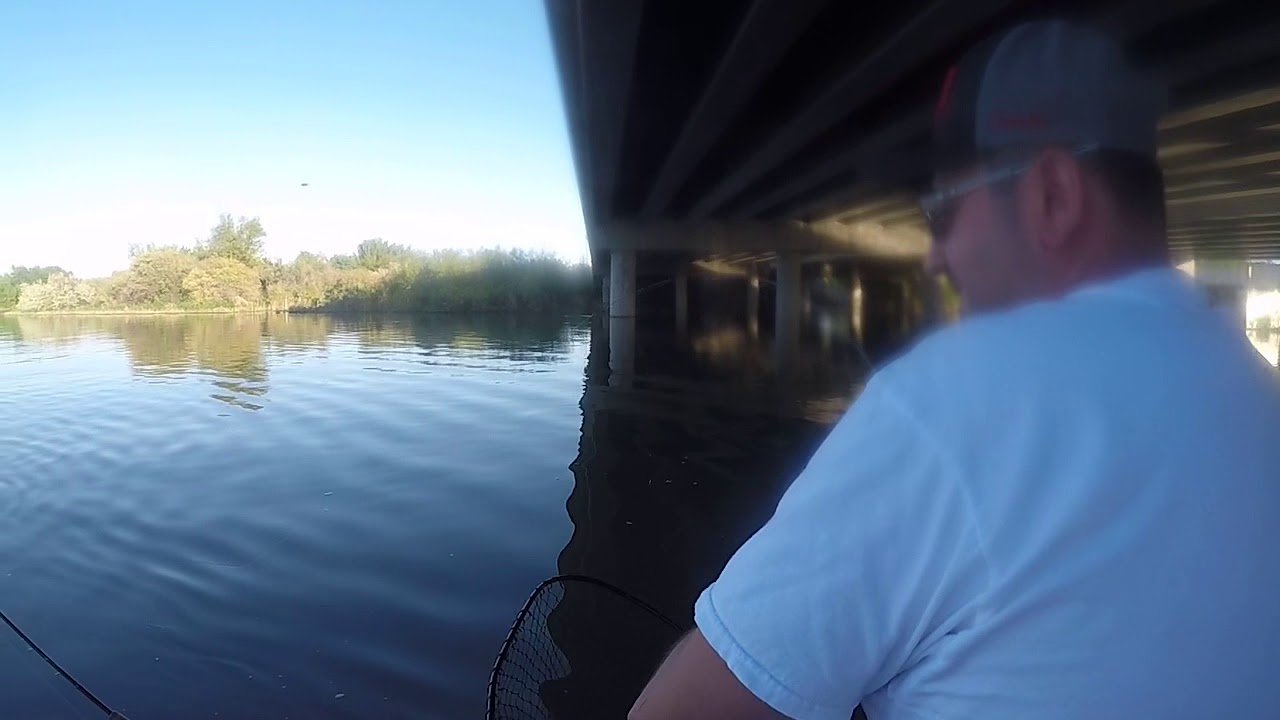 Catfishing on Yakima River YouTube