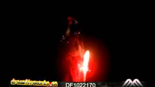 DF1022170 Butterfly w/red mine