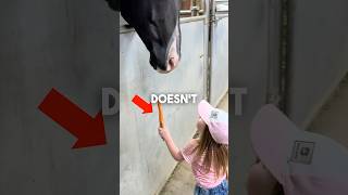 They Wait For Her Every Day And Youll See Why