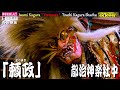 📢突然のサプライズ公開⇒凄い反響🤣チャリ大笑い多々有り🌾秋の大感謝祭⛩新たなる奉納神楽シリーズ13本の⑨江津市和木町⛩大年神社秋季例大祭📢「夜明かし神楽」👹自由度溢れ創造的神楽「頼政」都治神楽社中
