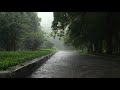 Instant Relief From Insomnia With Torrential Rain and Heavy Thunder Sounds | Deep Sleep, Relax, Heal