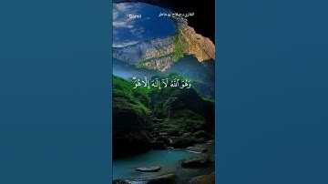 #قران_كريم #ماتيسر من سورة القصص #الشيخ_صلاح_بوخاطر