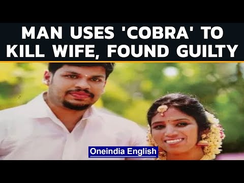 Uthra Murder Case: Husband found guilty of killing wife using ‘Cobra’ | Oneindia News