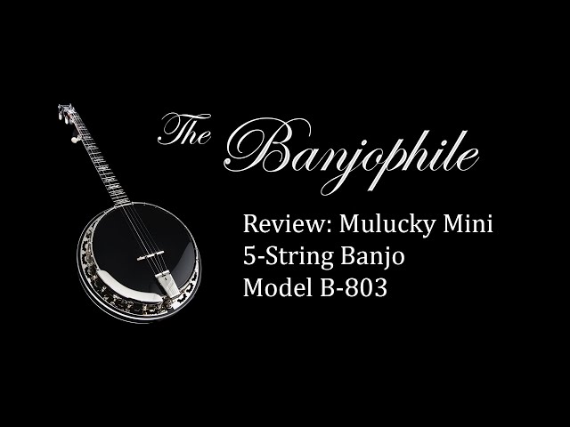 Review: Mulucky Mini 5-String Banjo (Model B803) class=