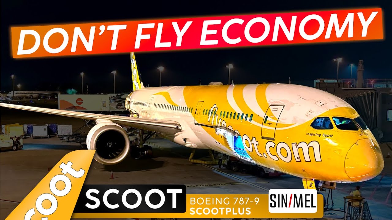ScootPlus ДЕШЕВЛЕ, чем Economy?! · SCOOT 787 в SCOOTPLUS 🇸🇬 Сингапур ✈ Мельбурн 🇦🇺 Цена+++!