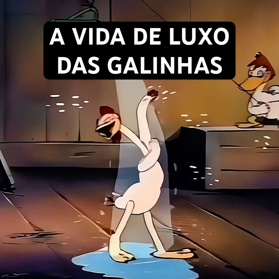 A VIDA DE LUXO DAS GALINHAS #shorts