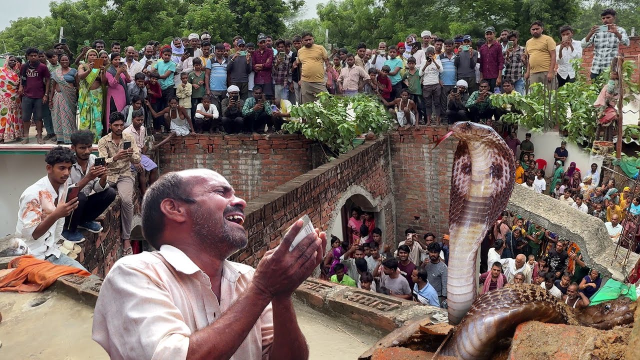 बहुत ही दुखद घटना, 35 साल की महिला को कोबरा सांप ने काट लिया, पूरा वीडियो देखिए कैसे क्या हुआ!😔🐍😱