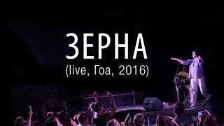 ОдноНо — Зерна (live in GOA)