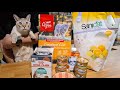 Pet shopping haul  what we bought for our lynx point siamese cat  dry food wet food toys  more