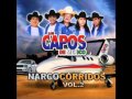 ah como hay gente pendeja LOS CAPOS DE MÉXICO 2016