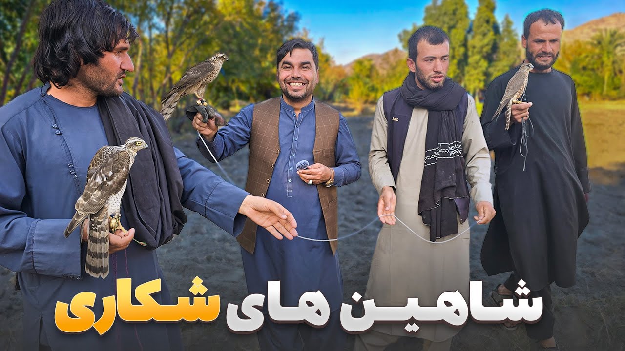 افغان سین - چکر هادی صافی با شکارچیان شاهین های تعلیمی در ولایت کنر