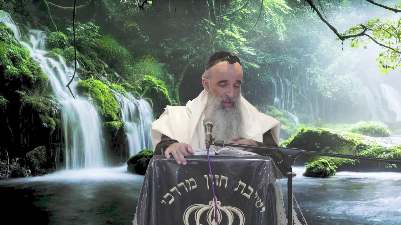 הרב מאיר דוד שמואלי -  נער הייתי וגם זקנתי ולא ראיתי מוותר מפסיד