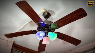 Experiment with 5 Wooden Blade Chandelier Ceiling Fan | Gym Spring Test | RGB Under Light