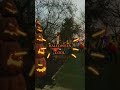 who else loves Halloween 🎃?