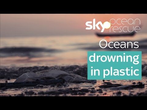 Oceans drowning in plastic | #OceanRescue