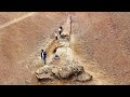 12 Most Incredible Archaeological Finds