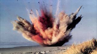 Historias Innecesarias Cuando Las Ballenas Explotan