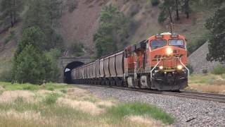 EBD BNSF #6092 grain train exits tunnel near Beavertail State Park East of  Missoula, MT 7/2016