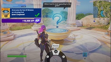Fortnite - Overcome The Test Of Wisdom At A Scrying Pool (Oracles Snapshot Story Quests)