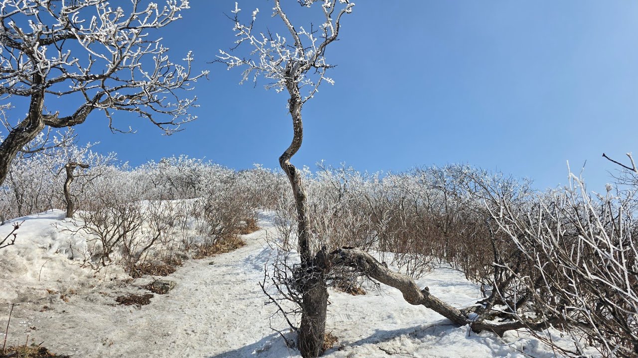 계방산 설경 산행... 20260215