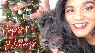 Happy Holidays Vlog!