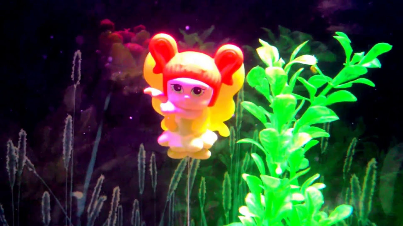 Feeding DIY Boiled egg yolk treat to guppy fish fry, Without making the