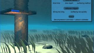 Decompression Sickness (1/2)
