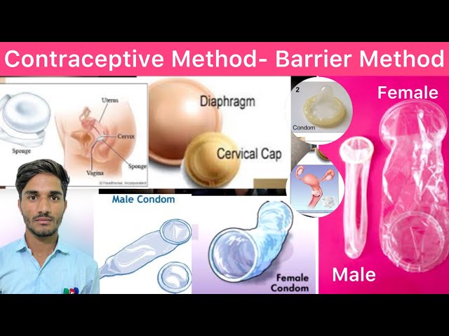 Ajoyib kokrak porno MP4 XVideos