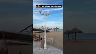 مطعم يمني على البحر في قطر ( مطعم  الفنر ) ?????