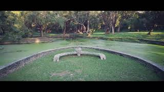 Aerial View of University of the Philippines Diliman