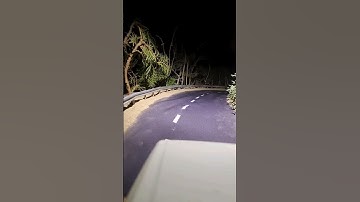 giant turtle _ giant animals #specialeffects #animals #turtle #edit