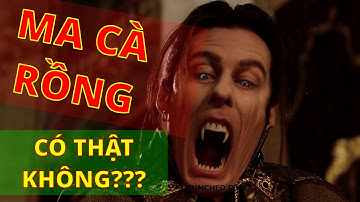 Nguồn gốc MA CÀ RỒNG DRACULA - Huyền Thoại và Sự Thật [BÙM CHÉO #16]