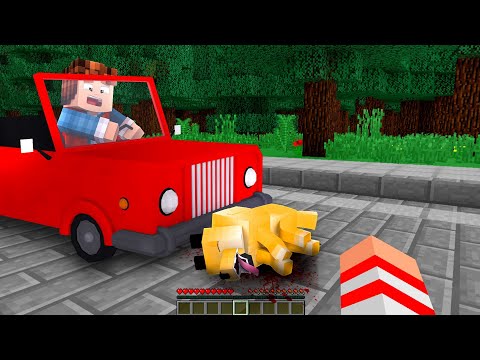 MEU CACHORRO FOI ATROPELADO NO MINECRAFT ! - MEU CACHORRO FOI ATROPELADO NO MINECRAFT !
