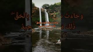 وجاءت سكرة الموت بالحق ♥️