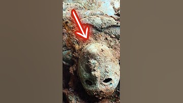 Metal Detectorist finds 800 Ancient Artifacts