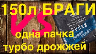 150л браги одной пачкой Bragman. Возможно ли? Или врут ли нам производители дрожжей