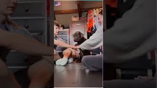 #fun #funny #pet #cat #dog