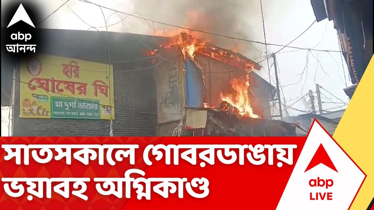 Fire Incident LIVE: গোবরডাঙা স্টেশনের কাছে অগ্নিকাণ্ড, আগুনের জেরে এলাকায় আতঙ্ক