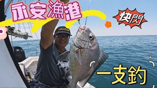 永安漁港一支釣臨時揪出門快閃。原本只想說去看看海結果咬到蝦子買太少#釣魚 #船釣 #fishing #一支釣