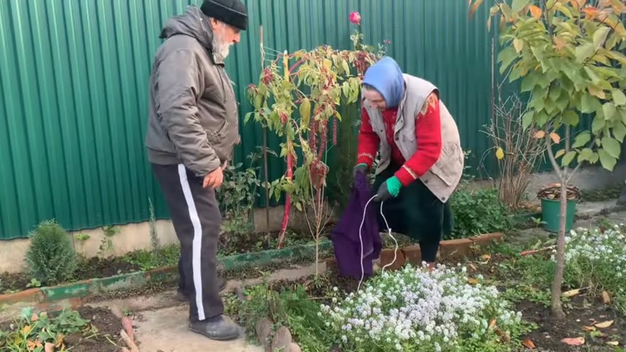 Чеснок сажаю только так 👍 и ни разу не пожалела 🌹