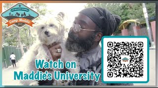 Watch Camp Maddie: Pet-Inclusive Housing on Maddies University!