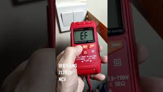 IVRZLANG ZL2021 2022Y3M4D