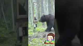 初めて鏡見た熊さんの反応が可愛い