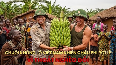 Châu Phi Rúng Động: Giống Chuối Khổng Lồ Của Việt Nam Giúp Dân Thoát Nghèo Đói