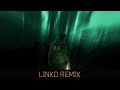 K391  rry  aurora linko remix