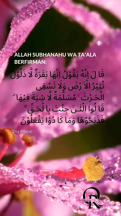 Jum'at Barokah #quranicreflections #storywa #kontenislami #videoislami #ramadhan4 #statusislamic